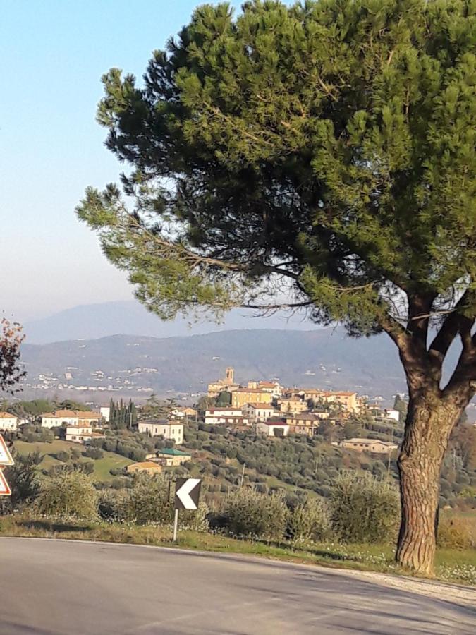 B&B Cum Grano Salis Castello delle Forme Exteriér fotografie