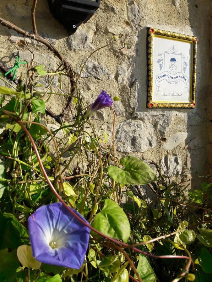 B&B Cum Grano Salis Castello delle Forme Exteriér fotografie